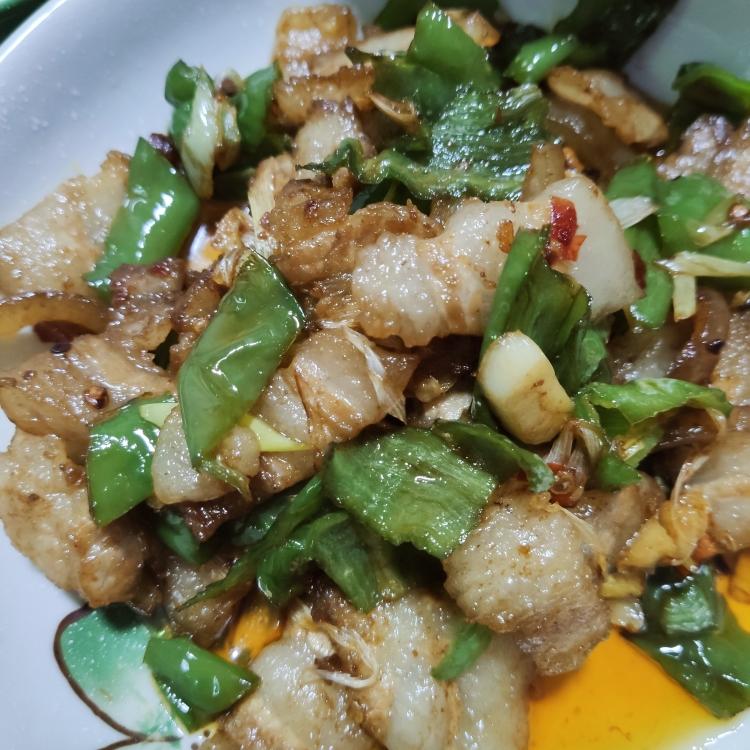 家常青椒炒肉「食材简单，光盘必须」的做法
