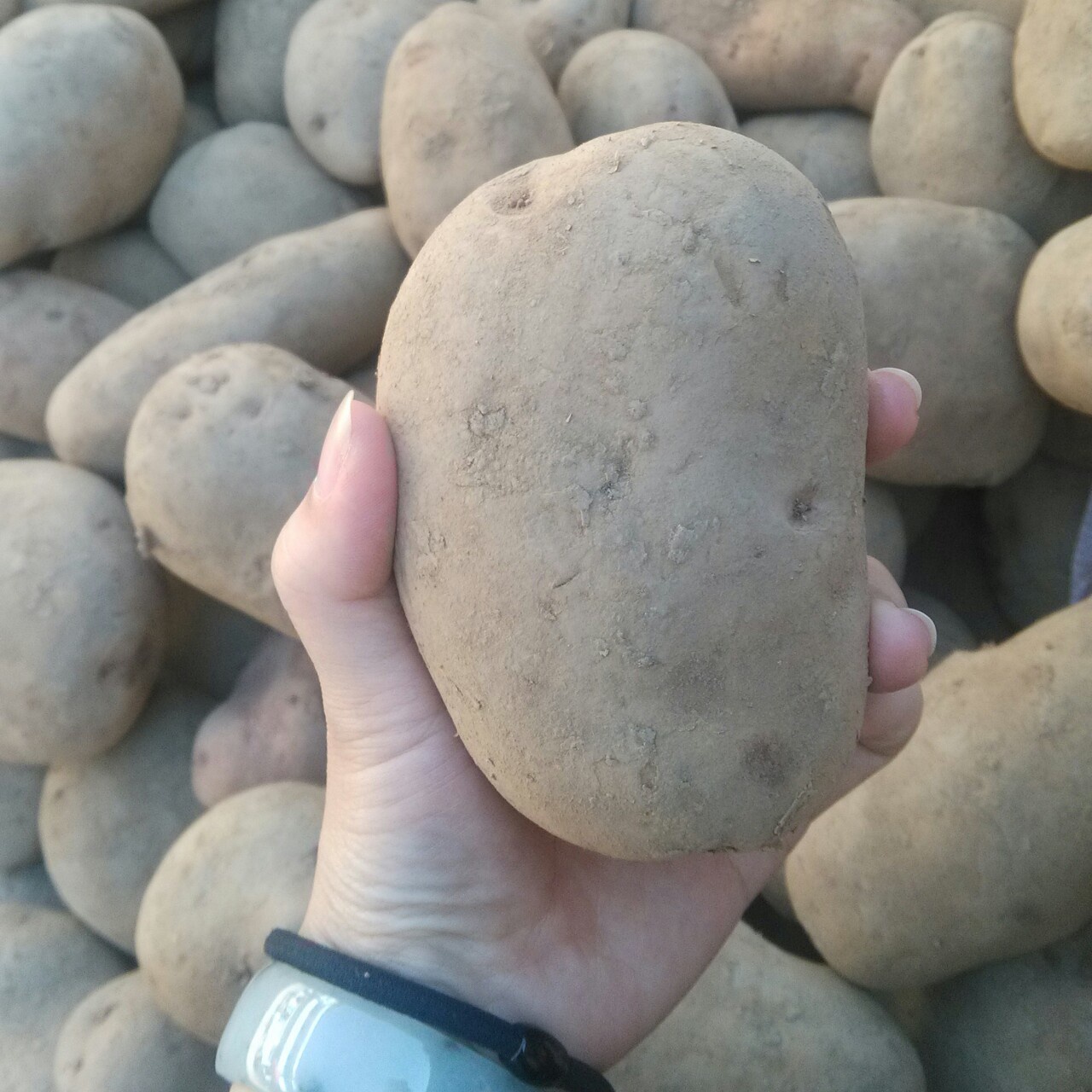 小妮子在厨房各种瞎折腾