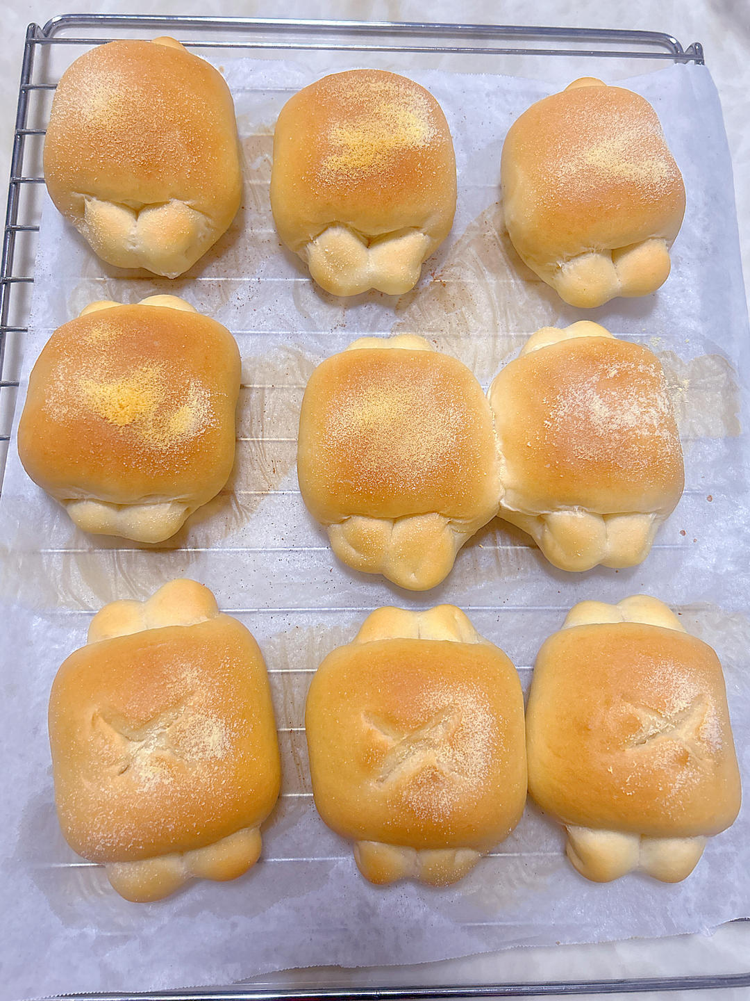 牛奶面包---5°冷藏基础发酵