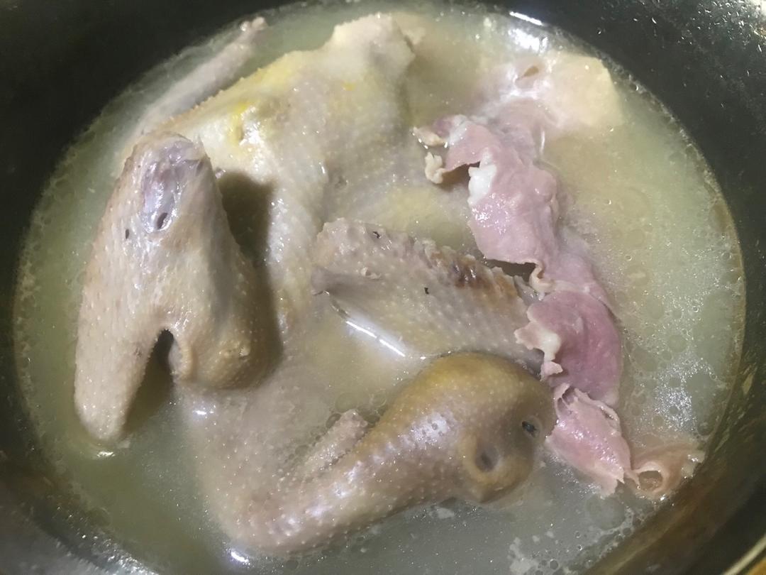 月子汤  鸽子汤