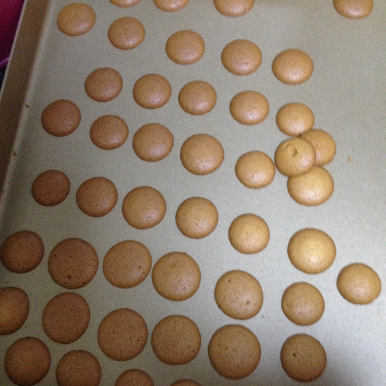 超酥版：酸奶溶豆豆