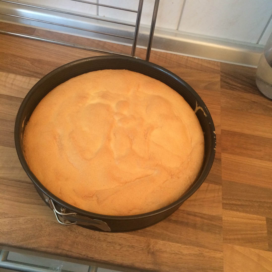 八寸戚风蛋糕（生日蛋糕坯）附六寸配单