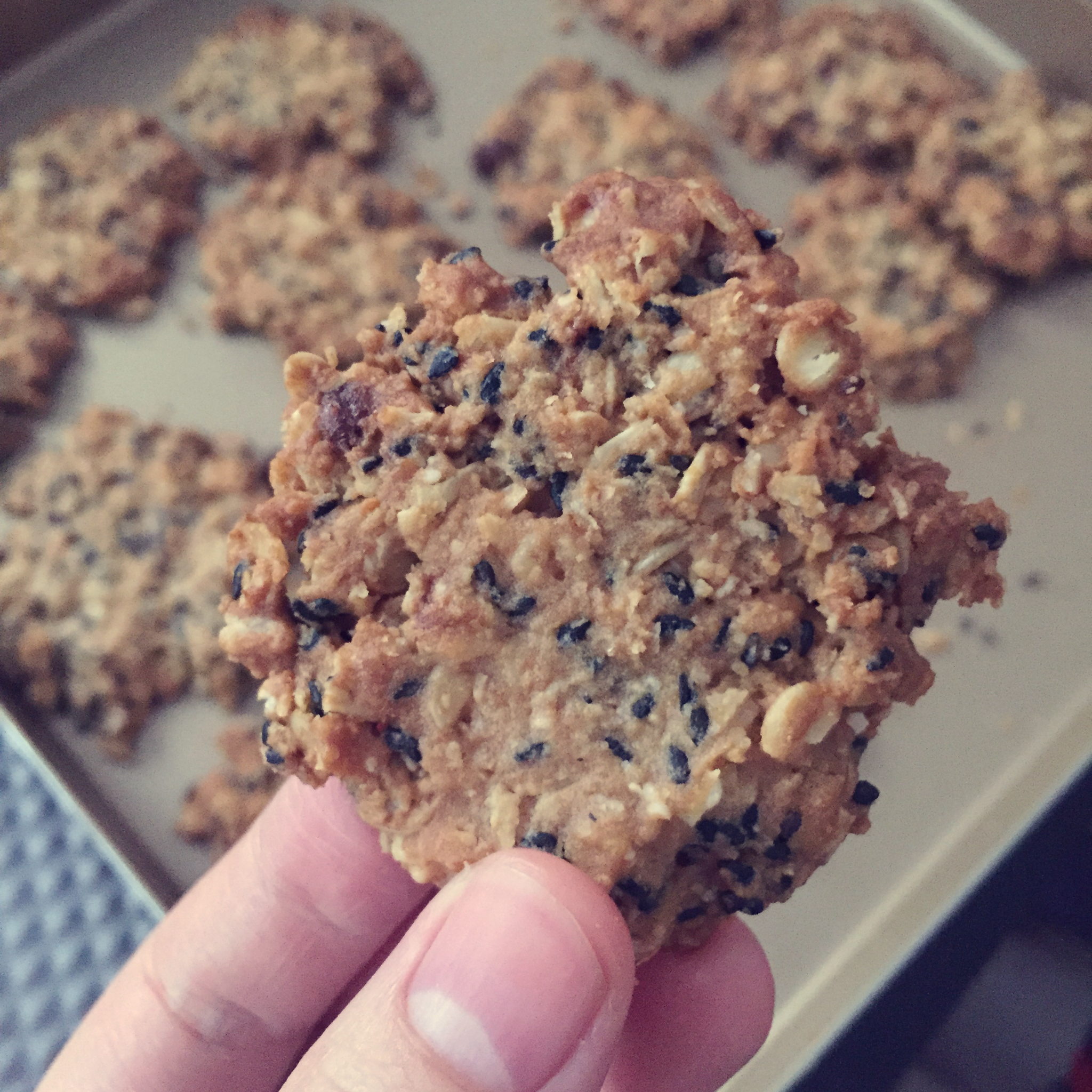 黑芝麻燕麦高纤饼干（无添加，另含植物油减脂配方）