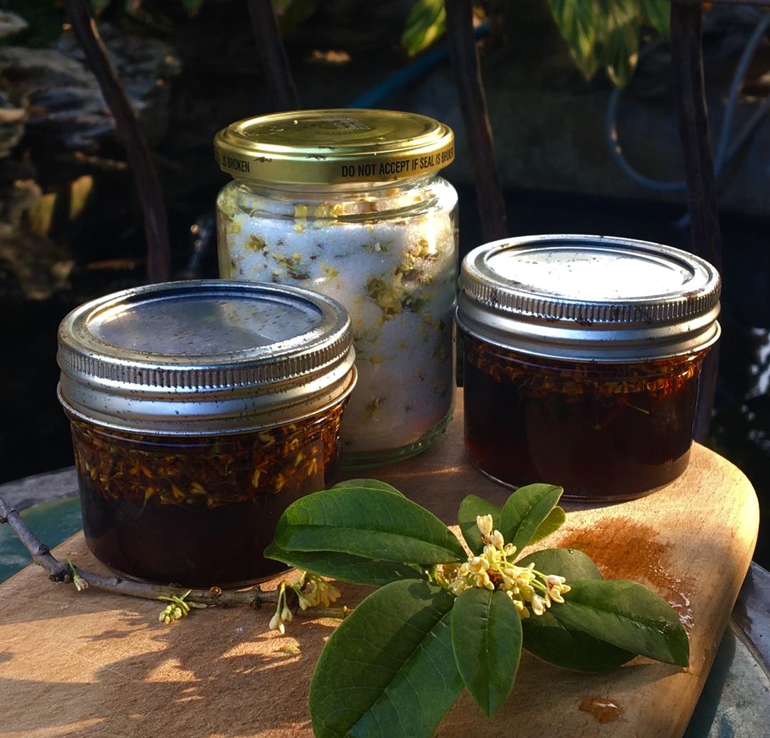 自制桂花蜜酱
