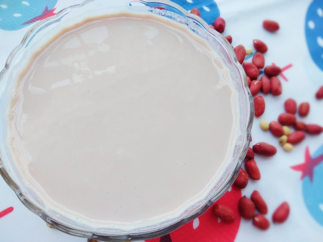 花生红枣豆浆（简单易上手版）