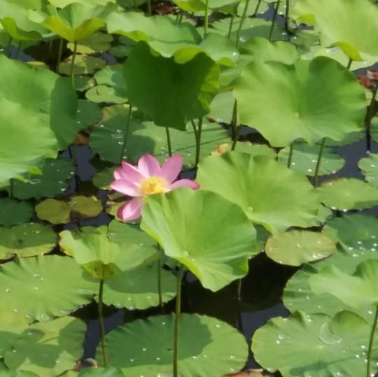 手机用户0670_y8jd的厨房