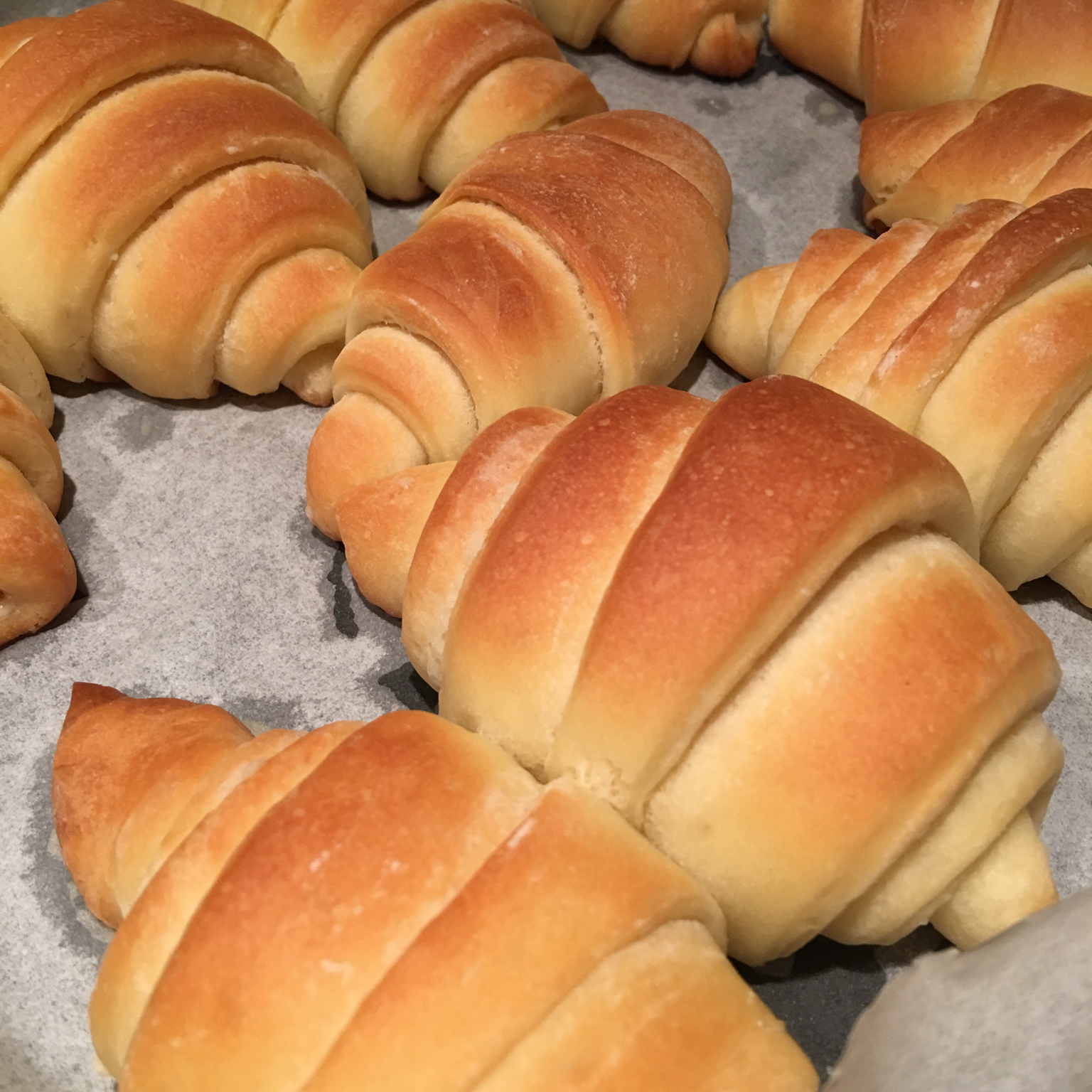 老式油酥面包 Yusu Bread