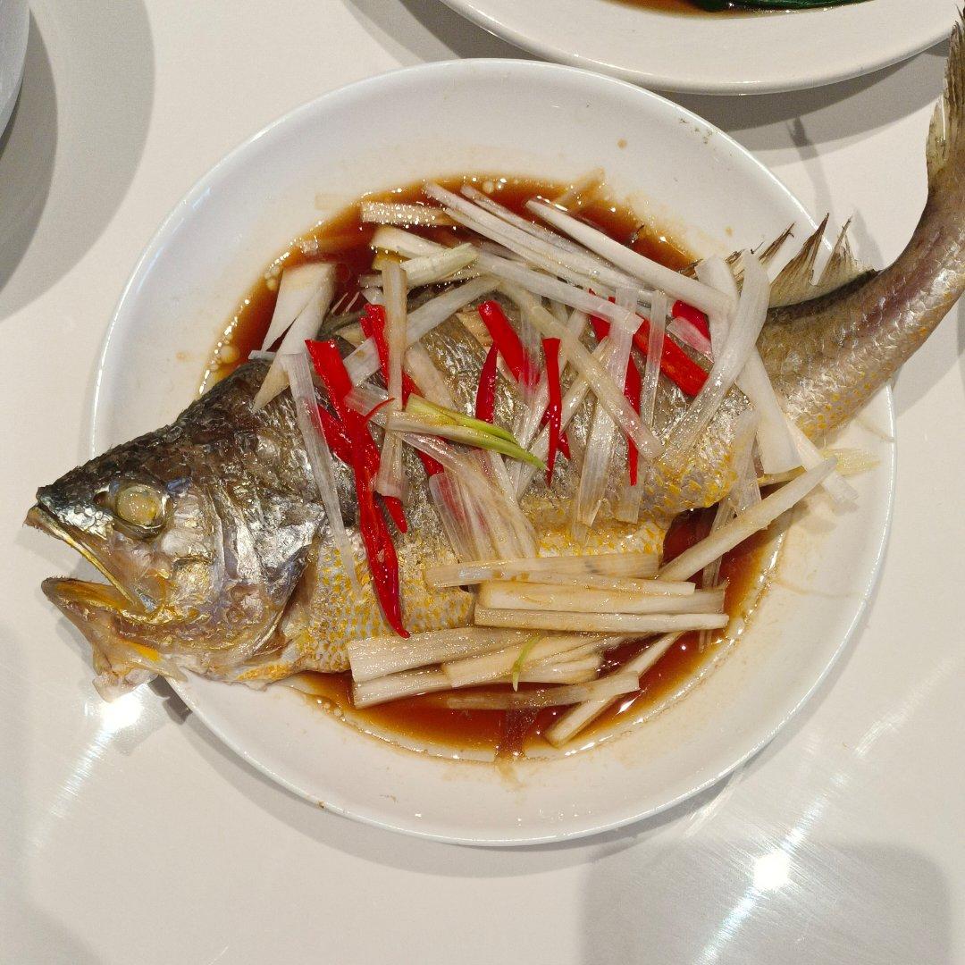 鲜香美味的清蒸大黄鱼！