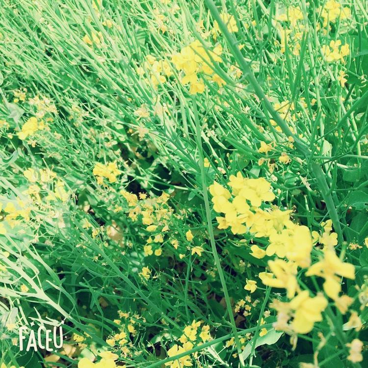 柠檬女一枚的厨房