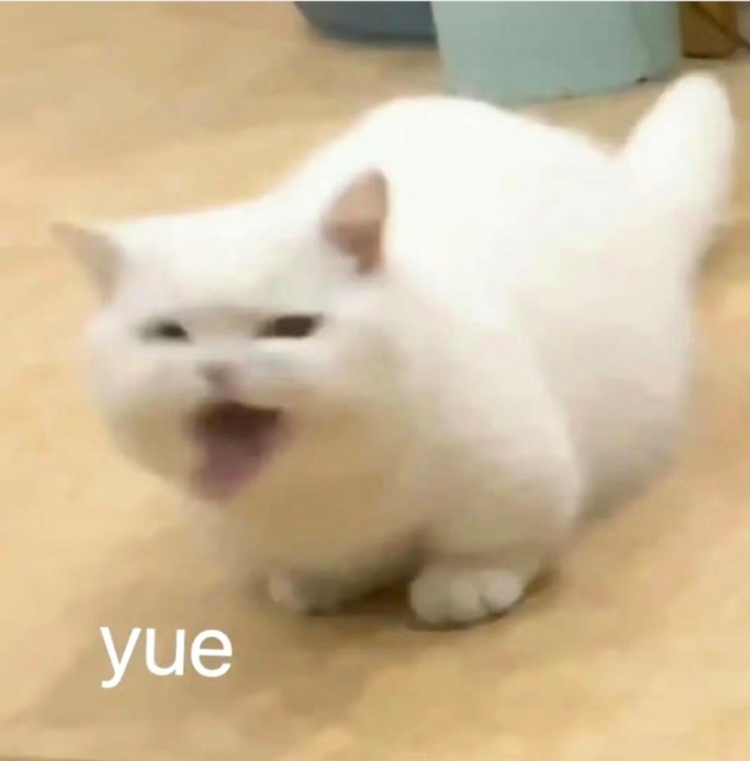 我做饭真的好yue