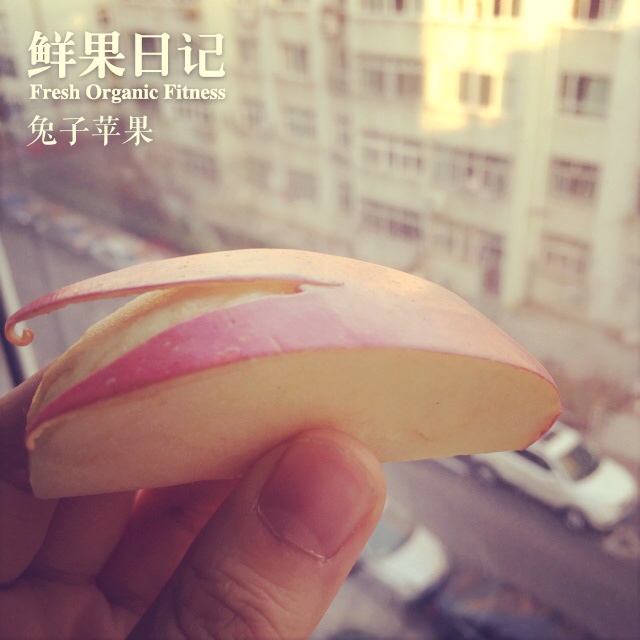 兔子苹果