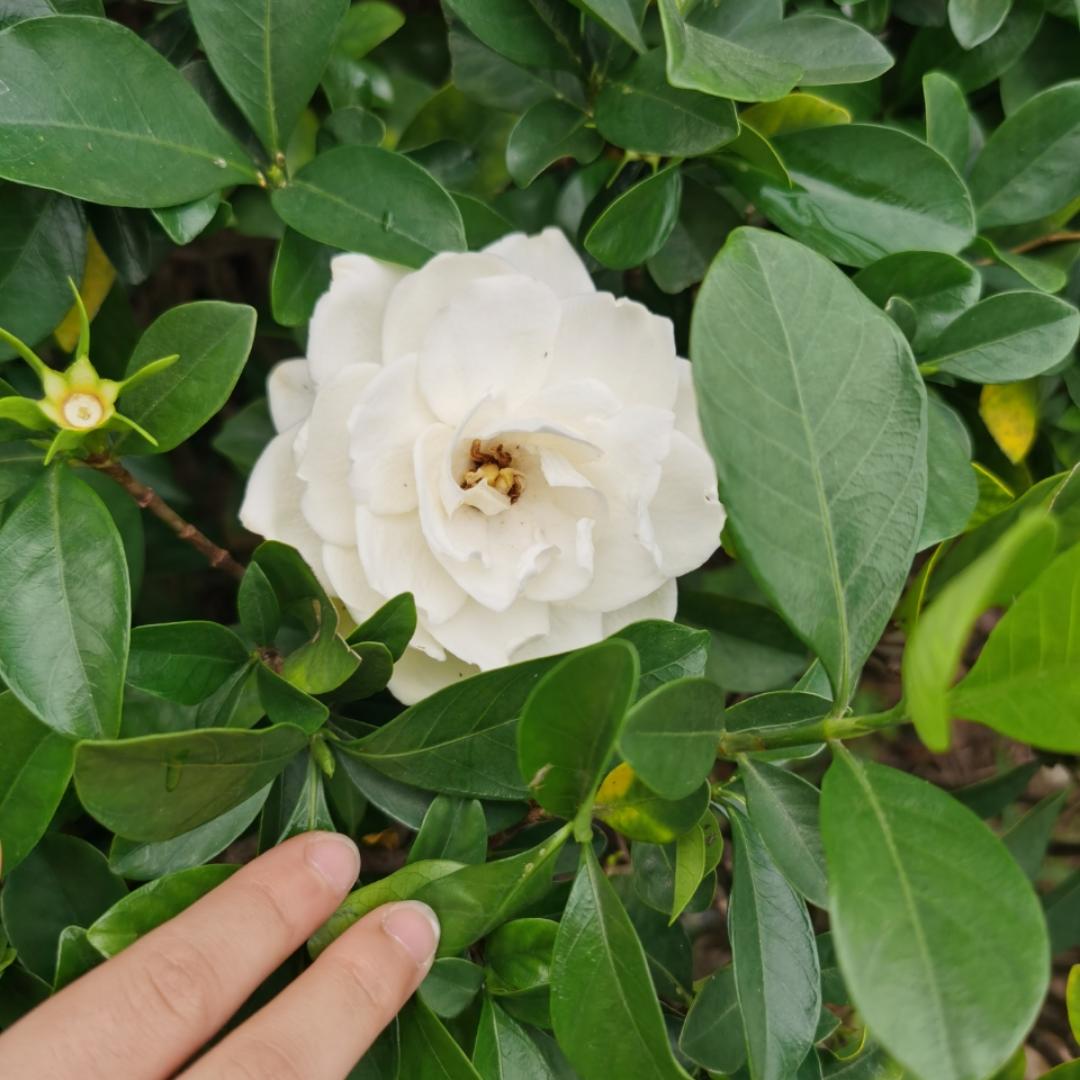 奏知遇