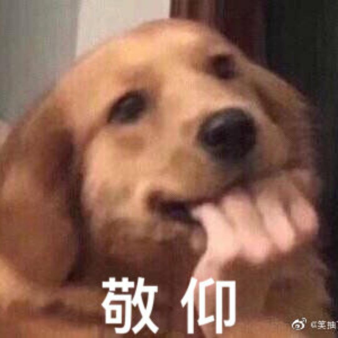 一日三问