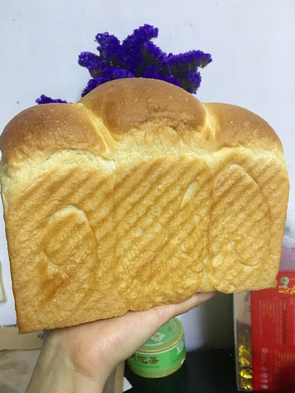 蛋白牛奶吐司~天然酵种(波兰种)