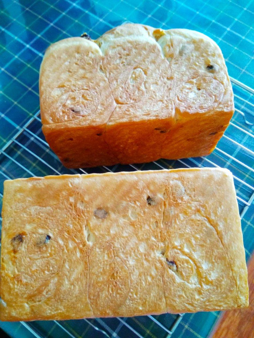 简简单单白吐司（玉米油）