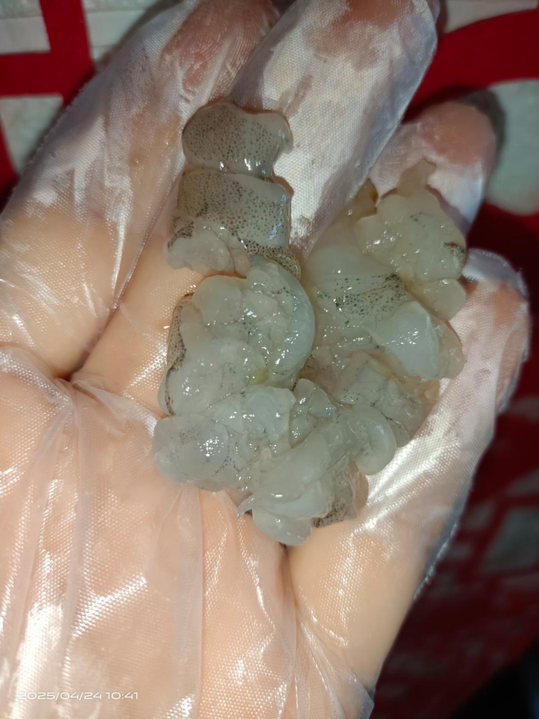 虾随便切几下就好了