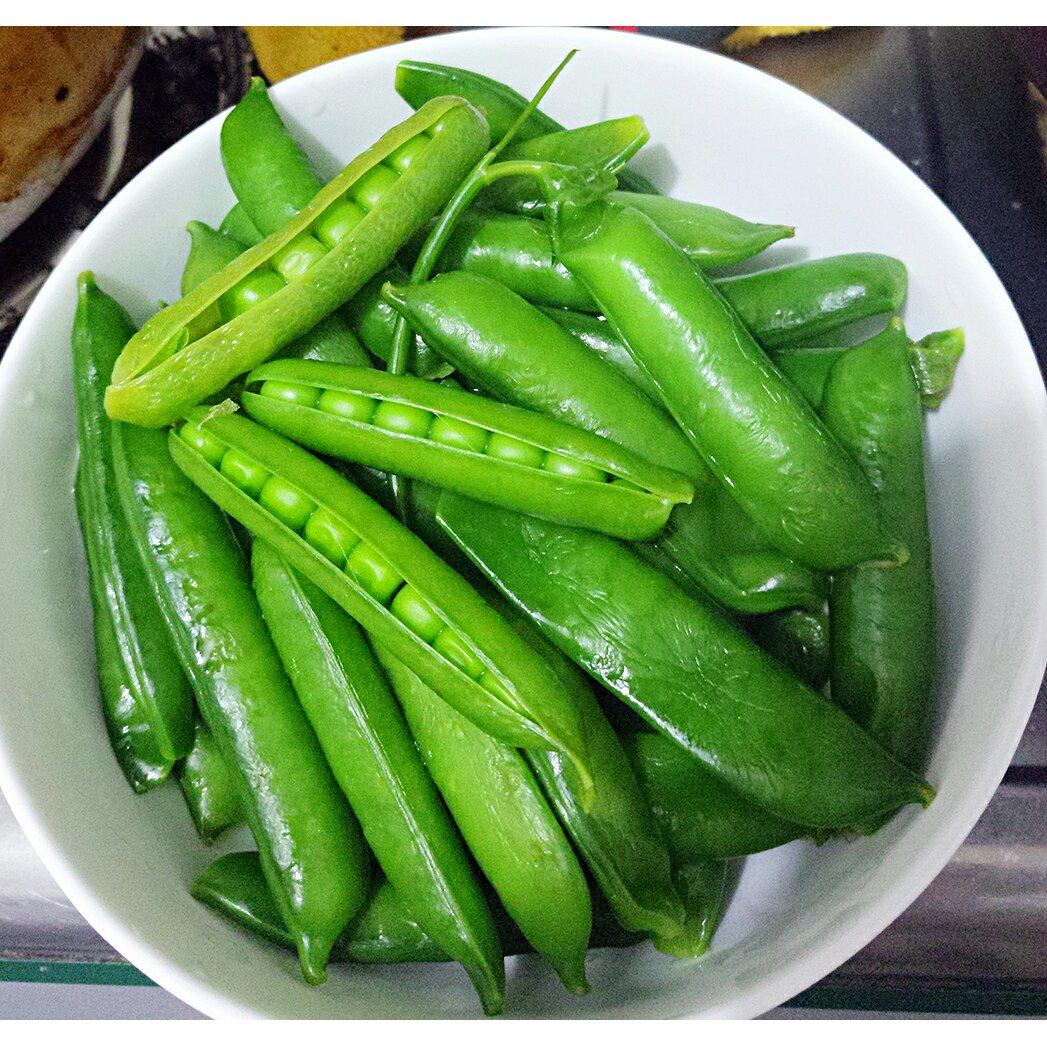 寻找美食的queen做的煮豌豆