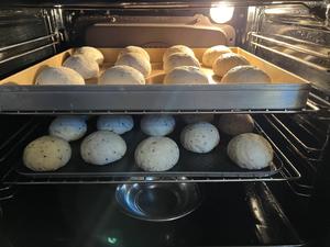 坚果法国球（鲁邦老面）French ball bread的做法 步骤13