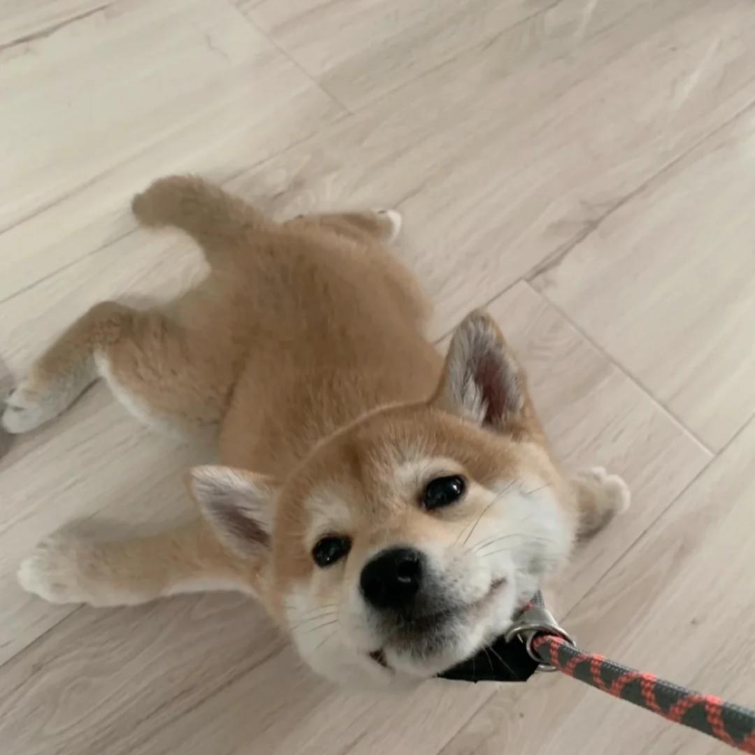 wwyw
