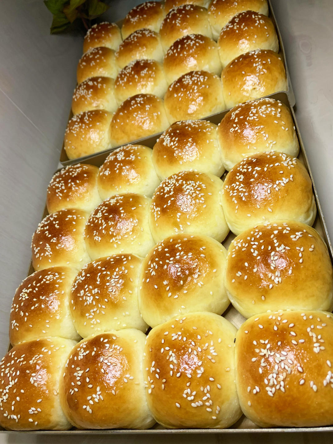 炼乳一发小餐包