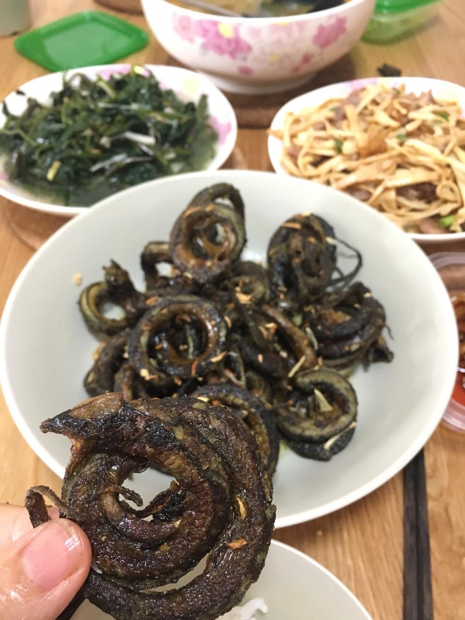 盘龙鳝鱼
