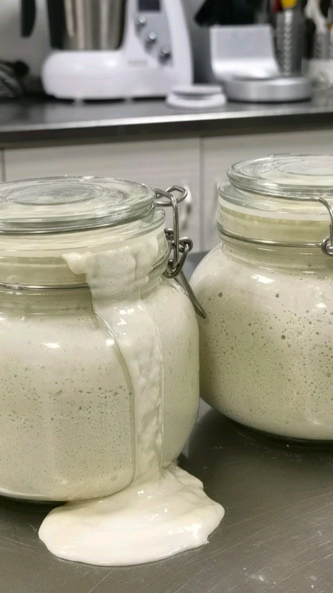 天然葡萄鲁邦酵母种培养制作