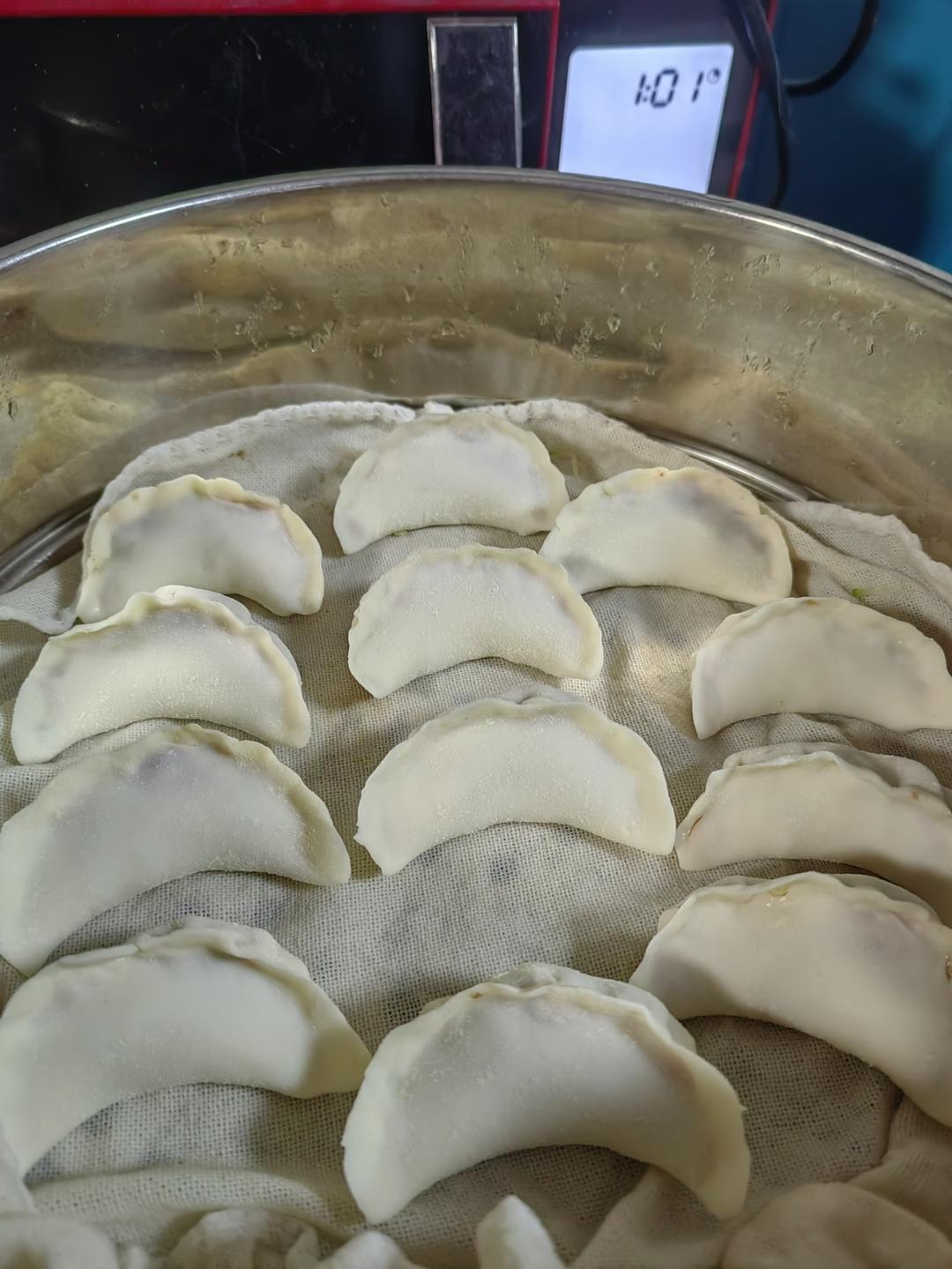 羊肉西葫芦馅饺子