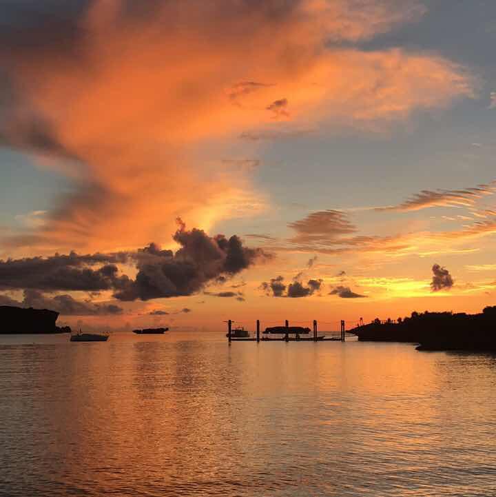 豆豆爱皮皮悦悦