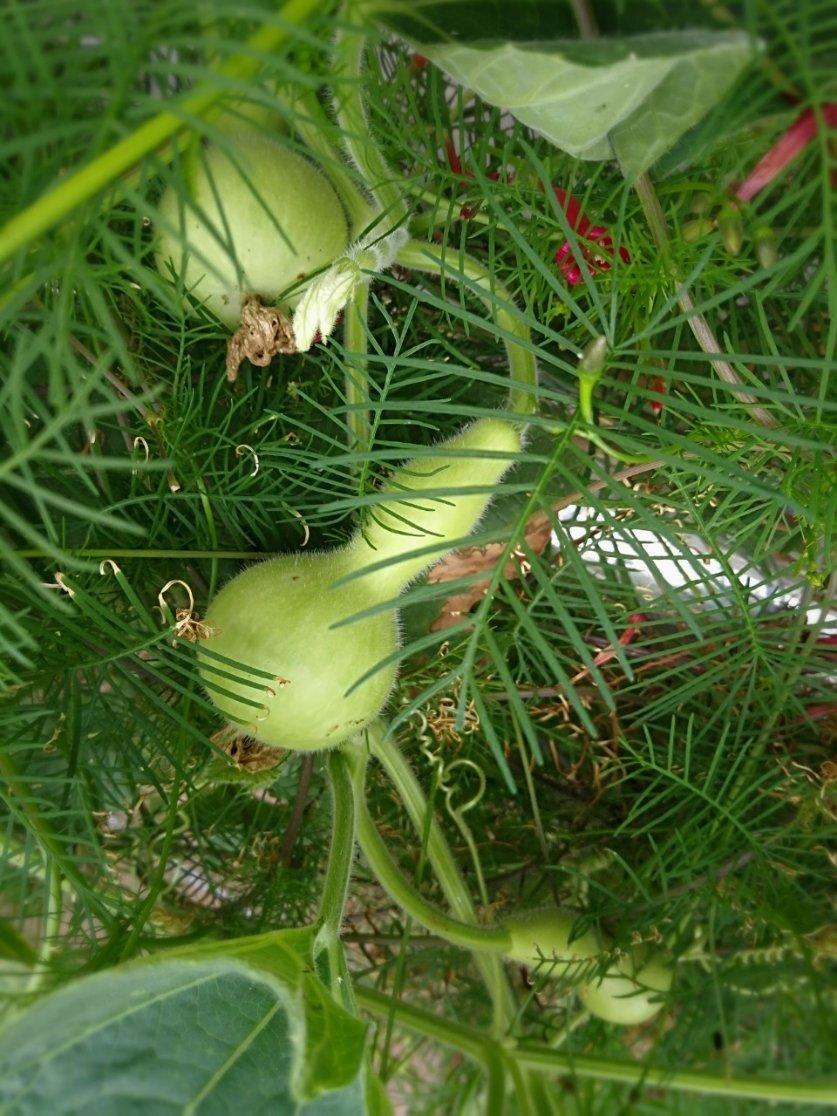 晚餐•2018年10月10日