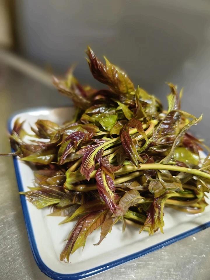 炸香椿（超详细的炸香椿鱼）