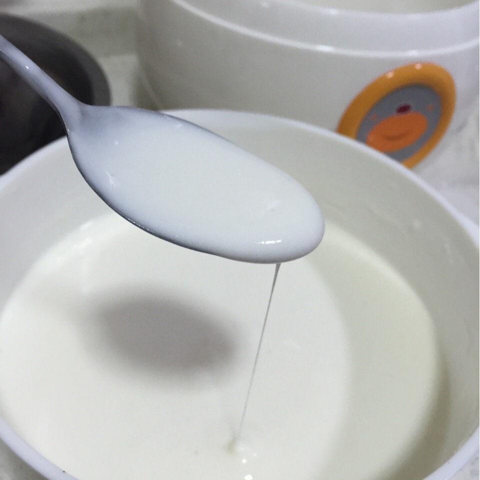 酸奶机自制酸奶
