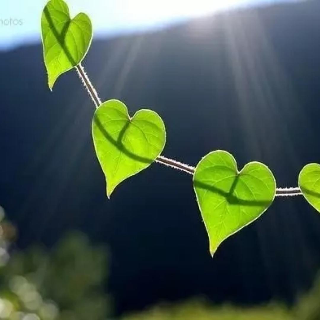 手机用户7478_kpzn