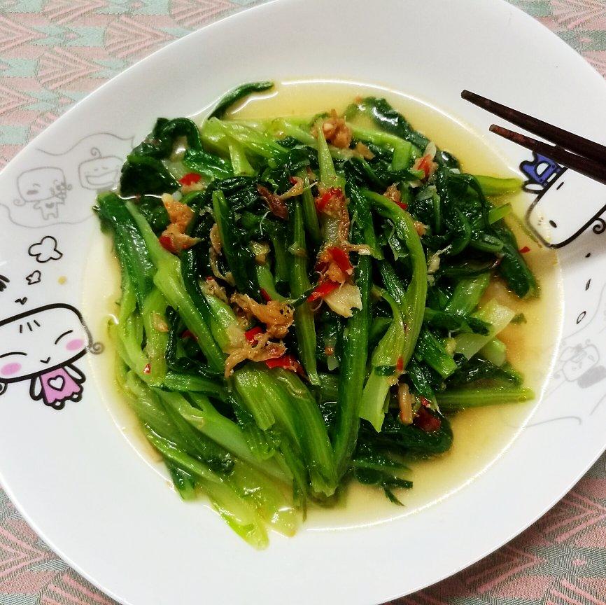 XO酱炒油麦菜