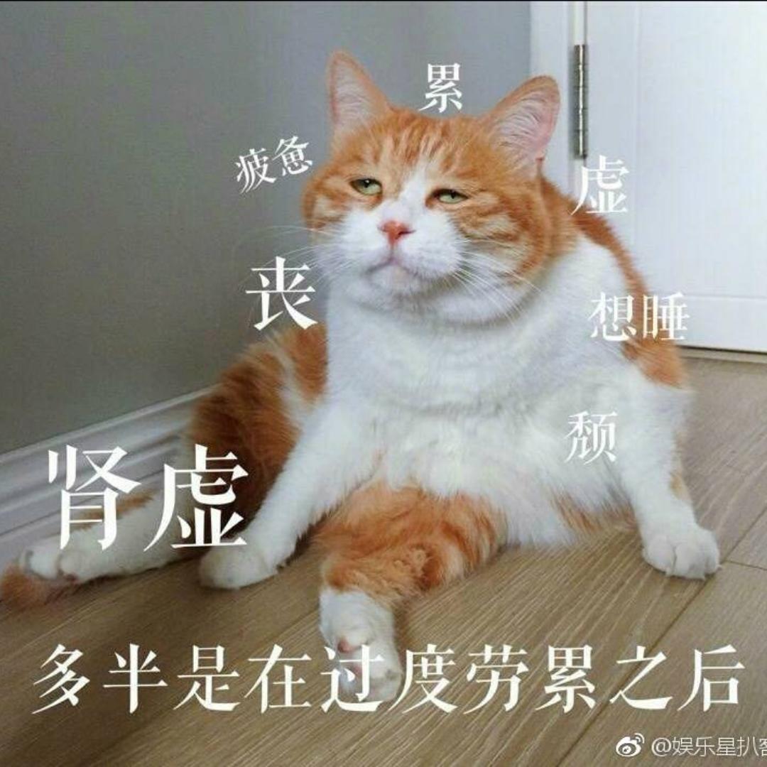 琳琳哒咪的厨房