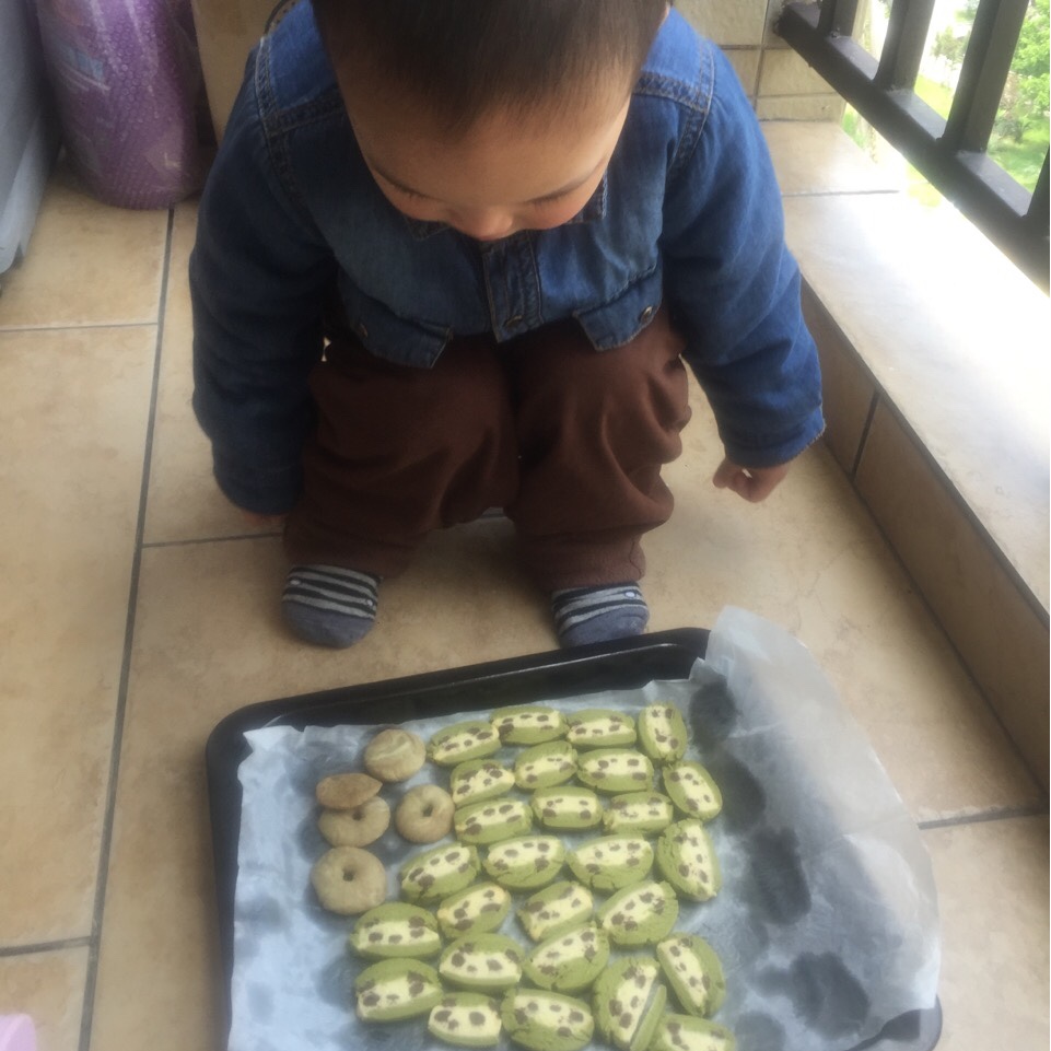 熊猫饼干（稍微修改了下糖小饼的方子）