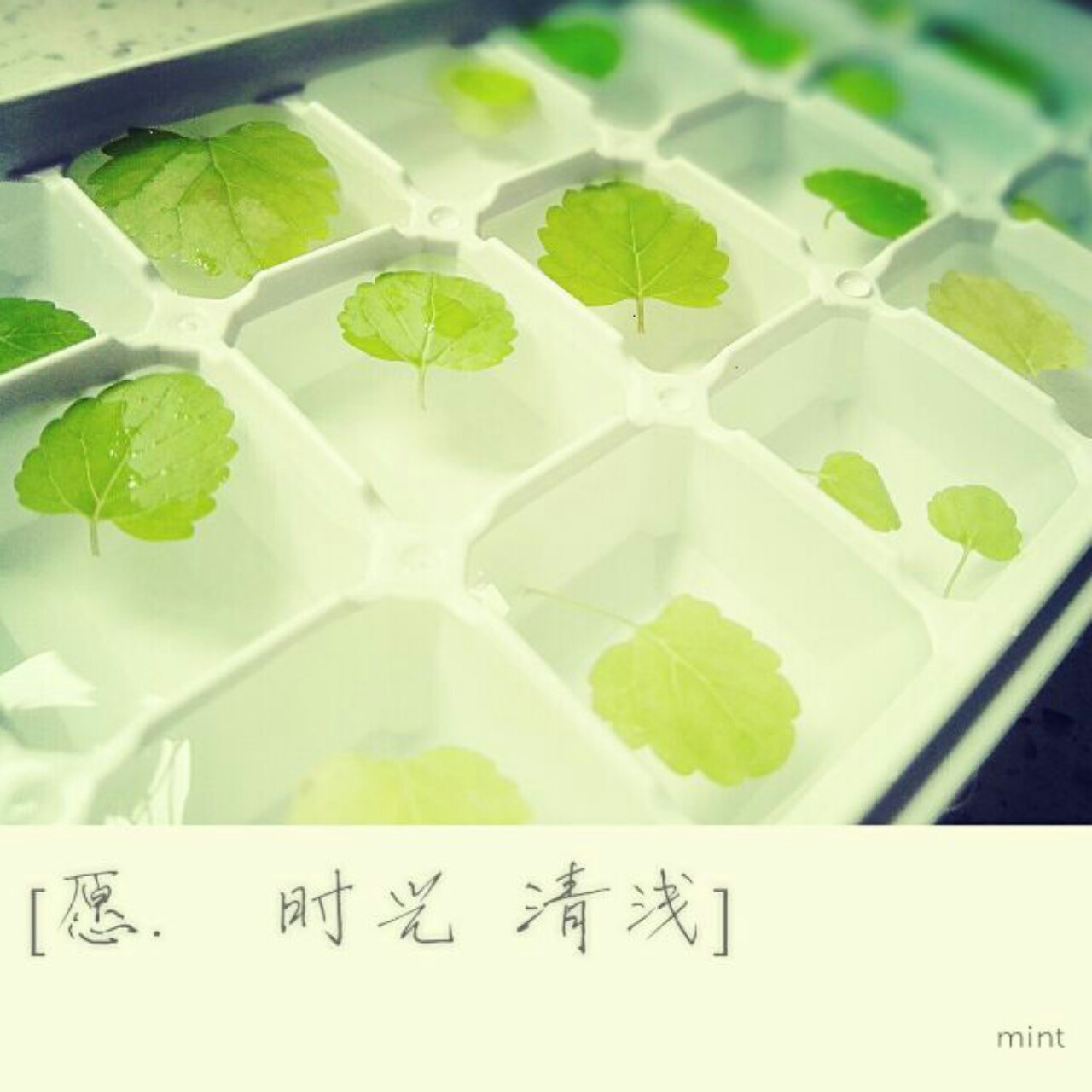 生活