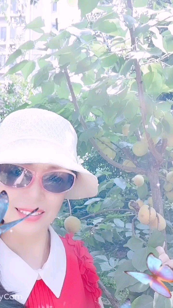 惠辞剑家小果园