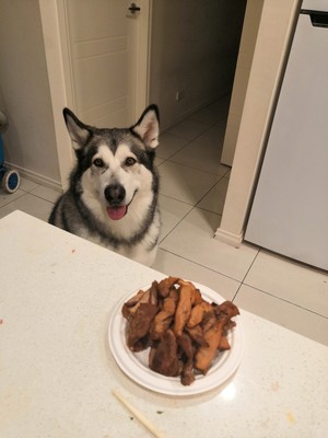 狗狗猪肉干 烤箱 的做法步骤图 江晚吟不是宇直 下厨房 狗狗猪肉干 烤箱 的做法步骤图 江晚吟不是宇直 下厨房