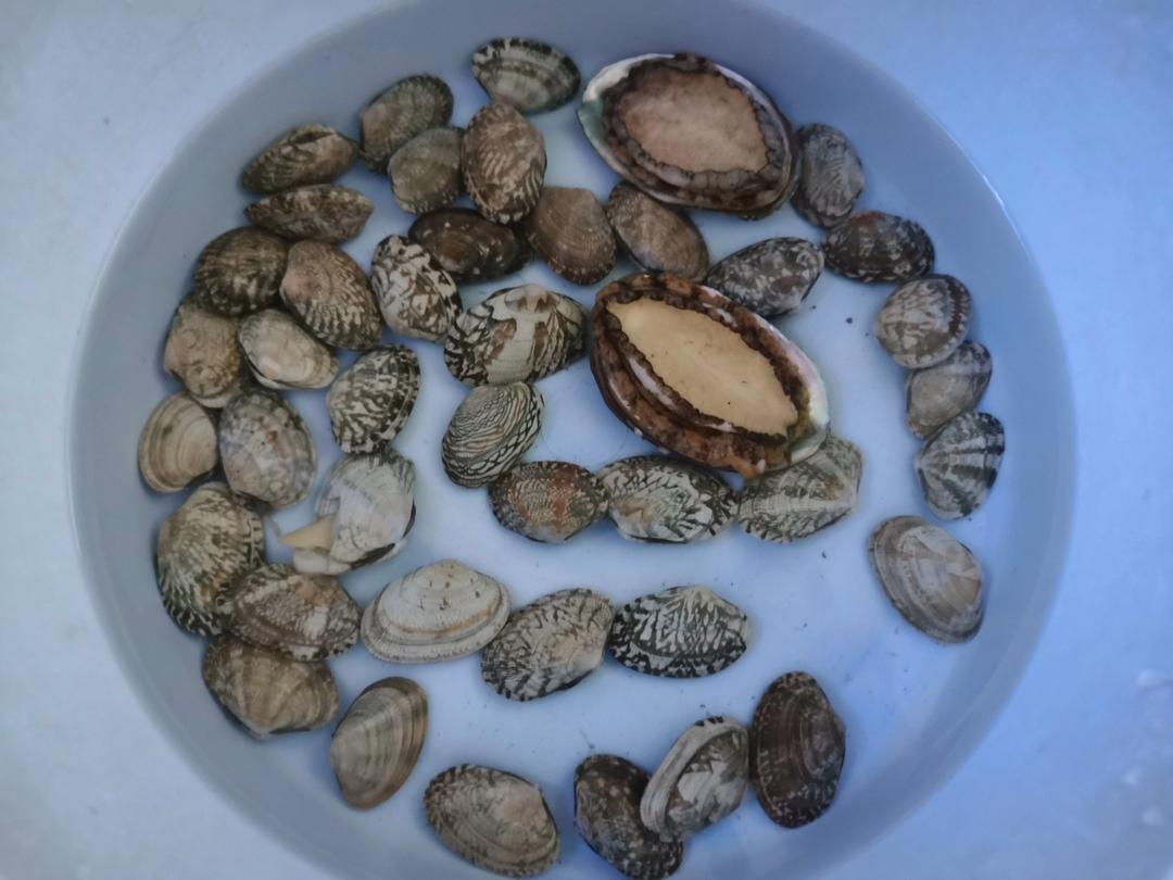 梅子花雕冷泡斑节虾、花蛤、小鲍鱼 by wqy