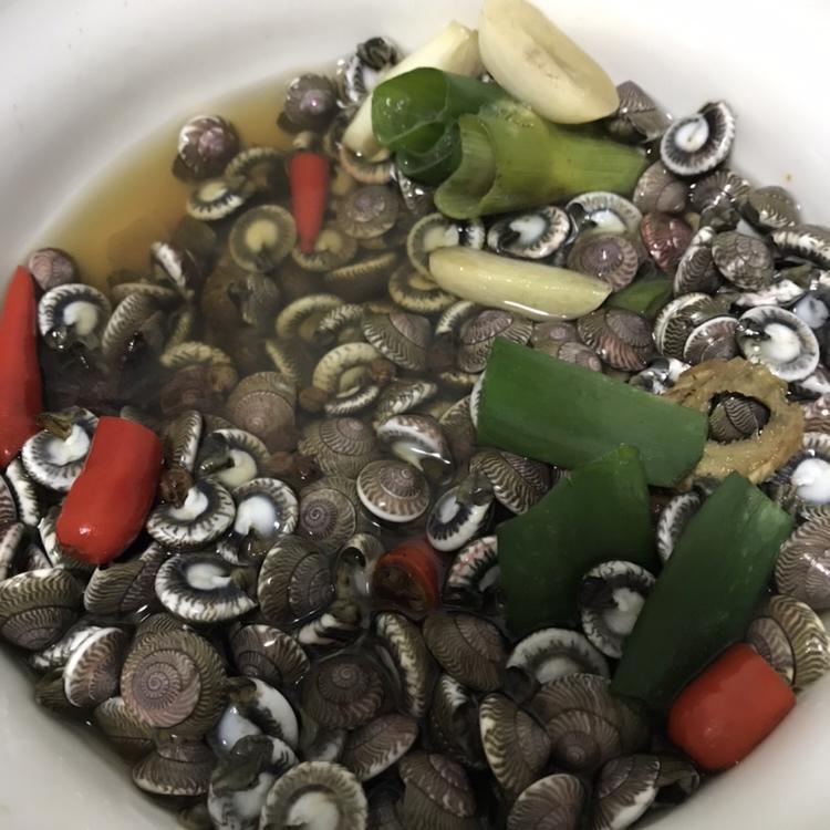 水煮海贝贝儿的做法