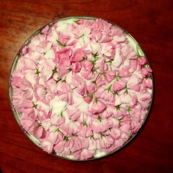 盐渍樱花、樱花蜜、樱饼