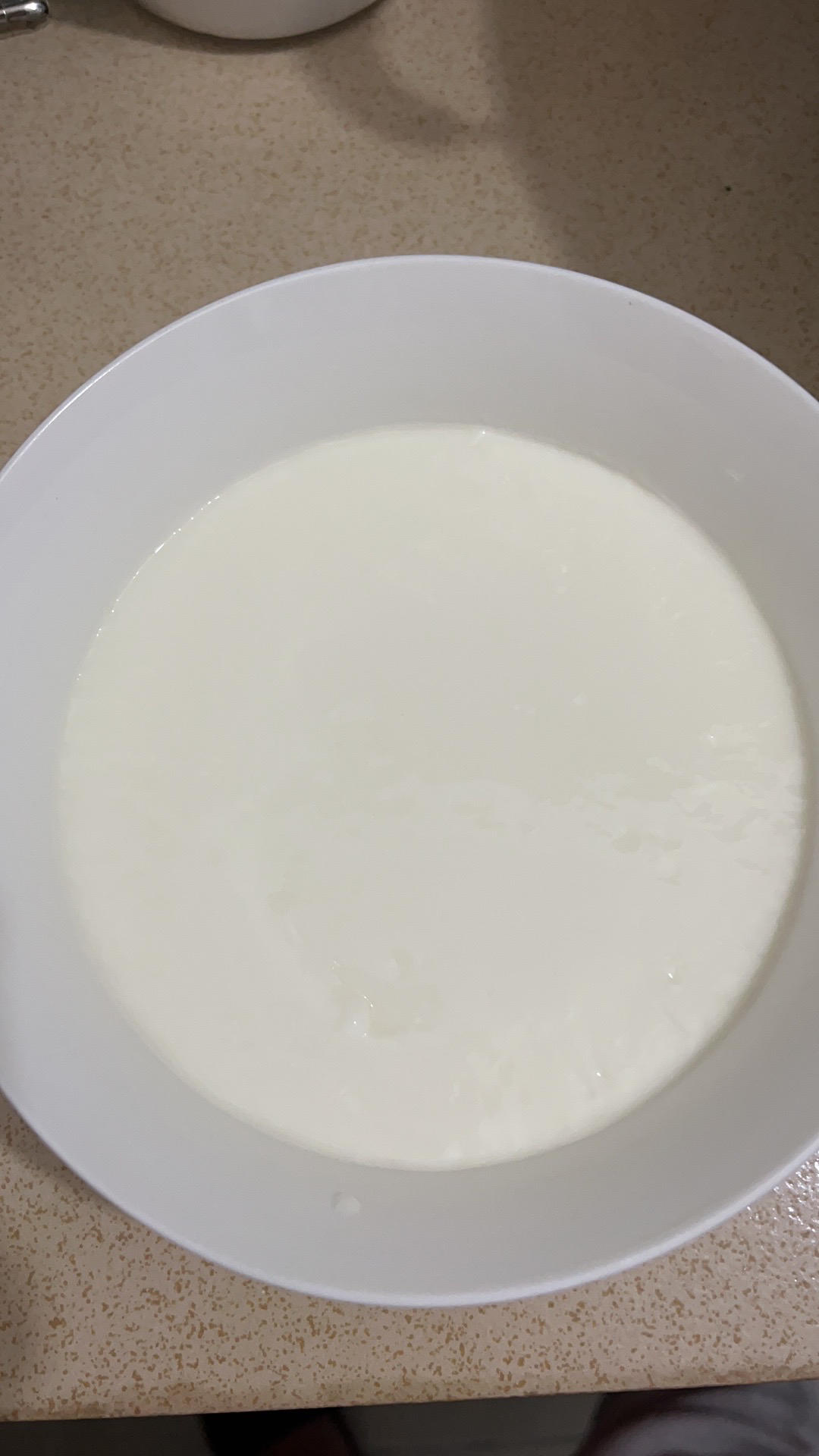 零失败简易双皮奶