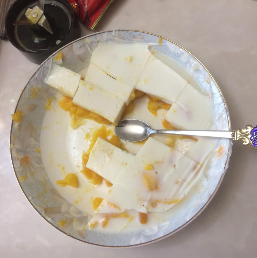 老少皆宜的芒果牛奶布丁