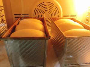 中种奶油奶酪吐司的做法 步骤15