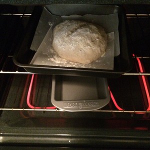 五分钟欧式面包（Five-minute Artisan Bread)的做法 步骤6