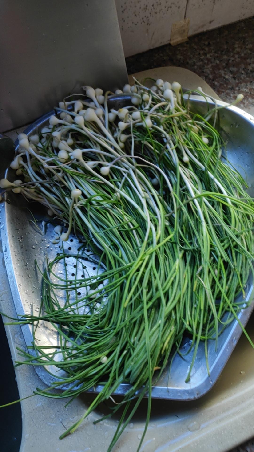 野葱饺子
