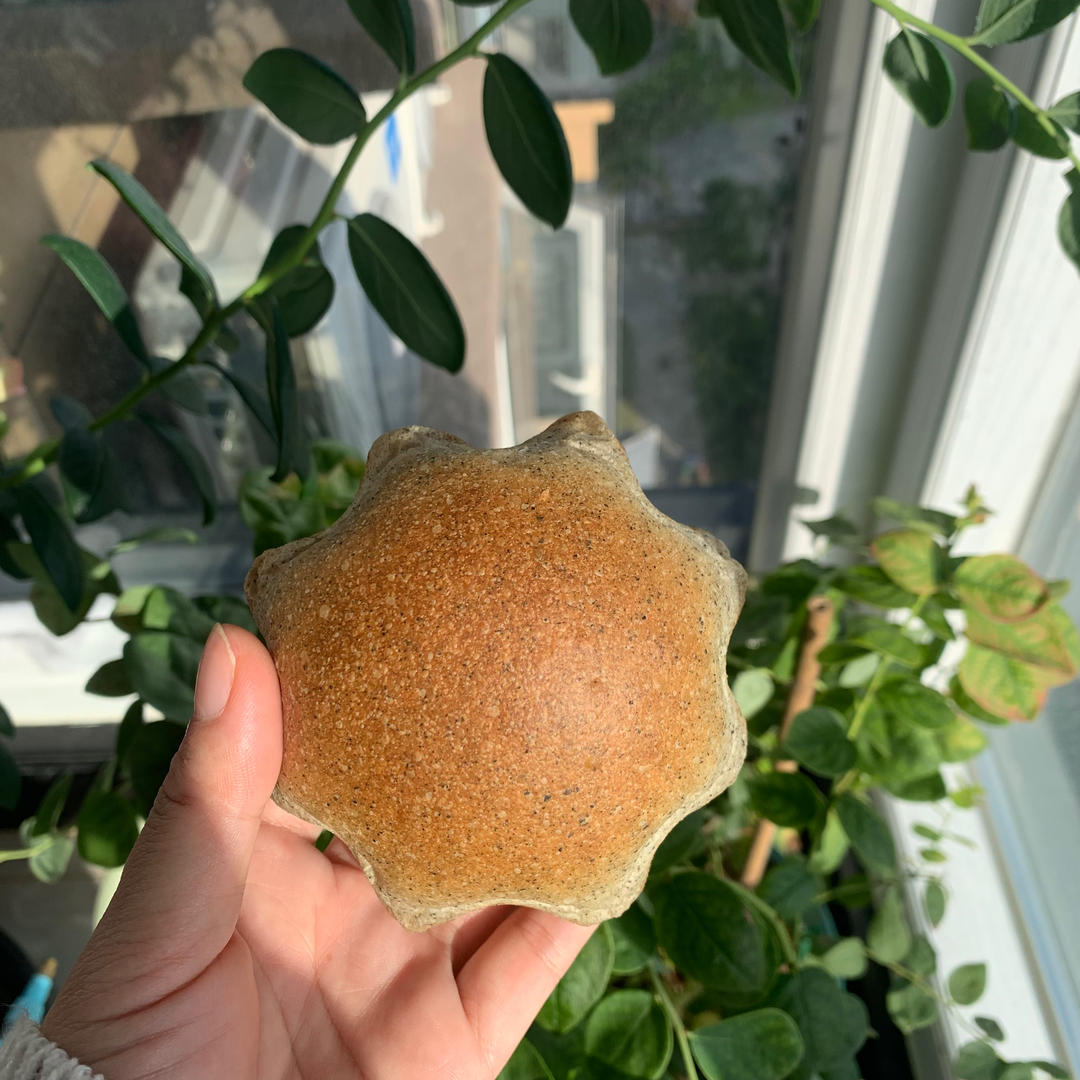 双倍黑芝麻麻薯面包