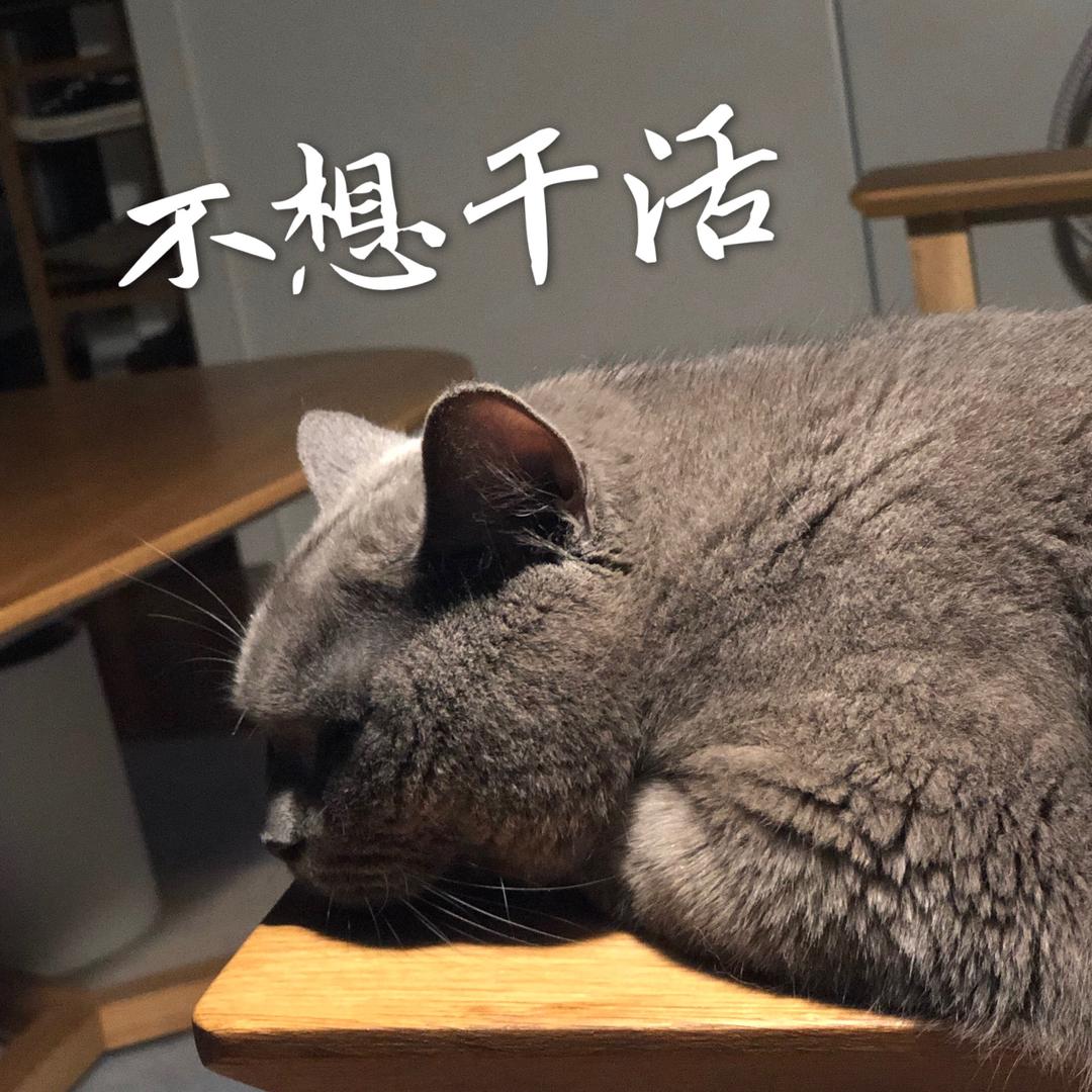 素人厨师Lola