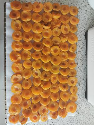 烤箱版杏辅干的做法 步骤6