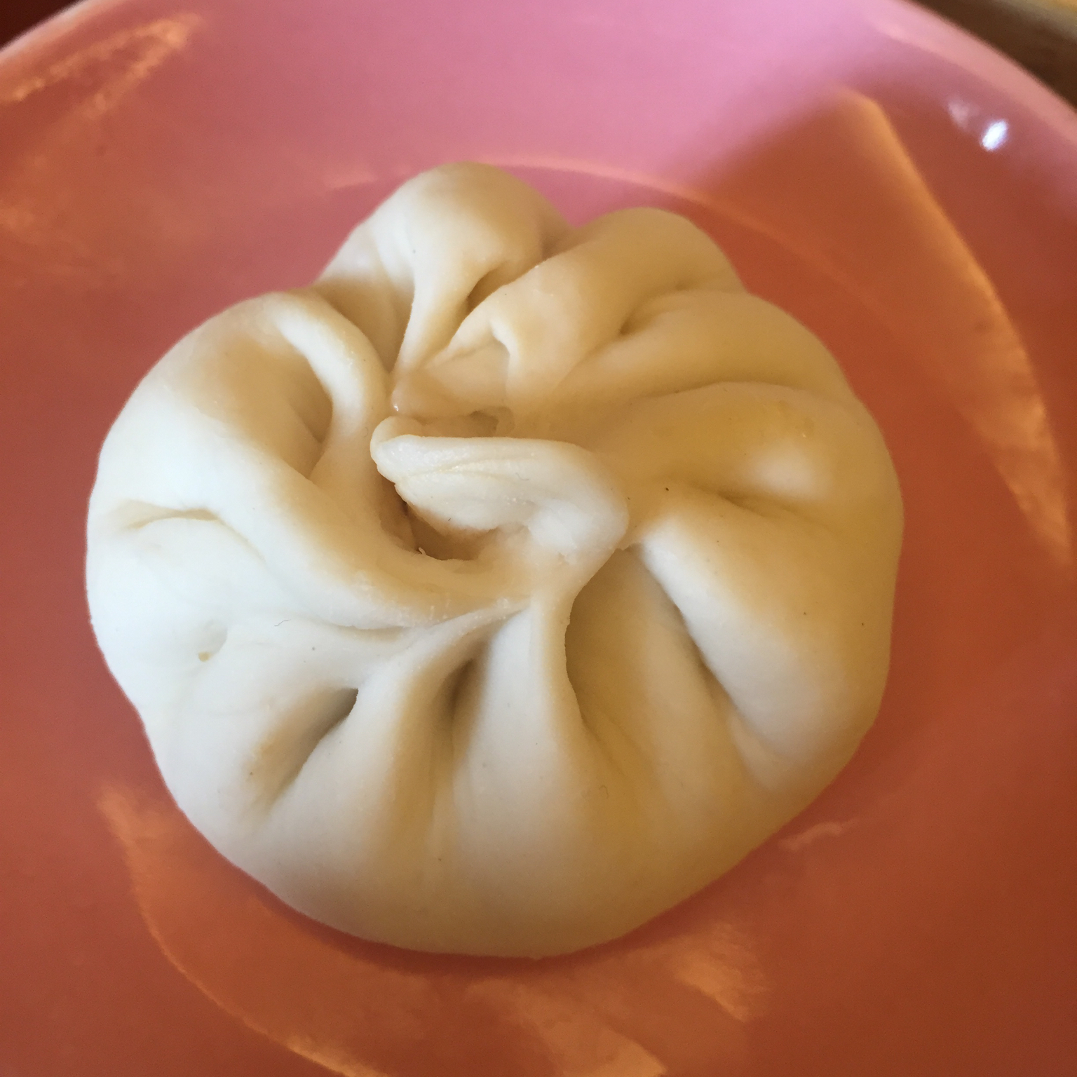 ~肉包子~多汁、松软包子君的制作攻略